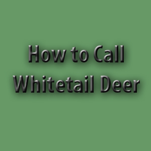 How to Call Whitetail Deer - Sean's Outdoor Adventures